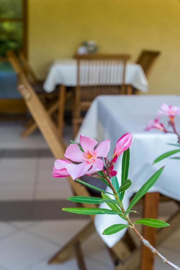 Regia Panzio Bed & Breakfast Halászi Exterior photo
